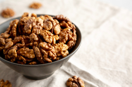 Raw Walnut Halfs in a Bowl, side view. Copy space.