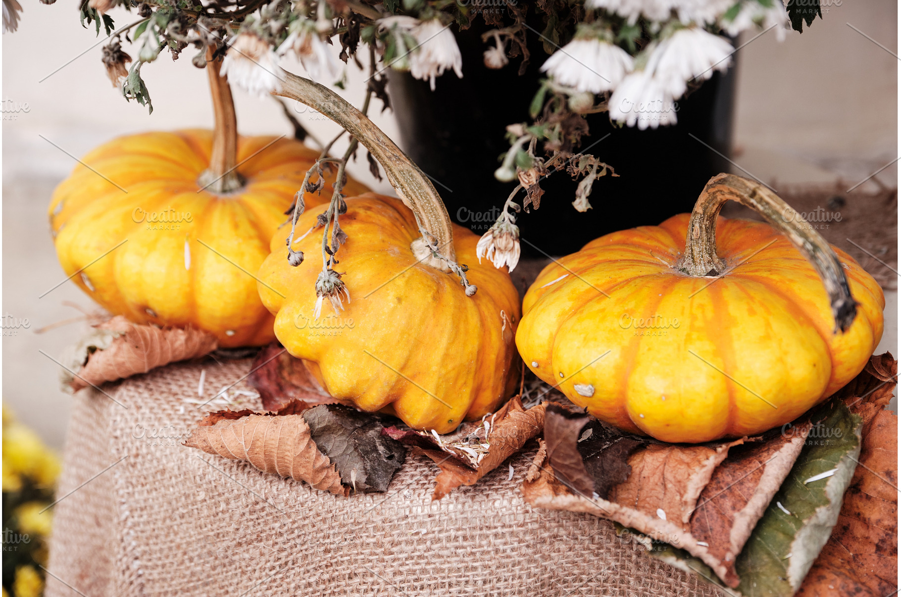 Decorative arrangement of three, a Food & Drink Photo by Rohan Photography
