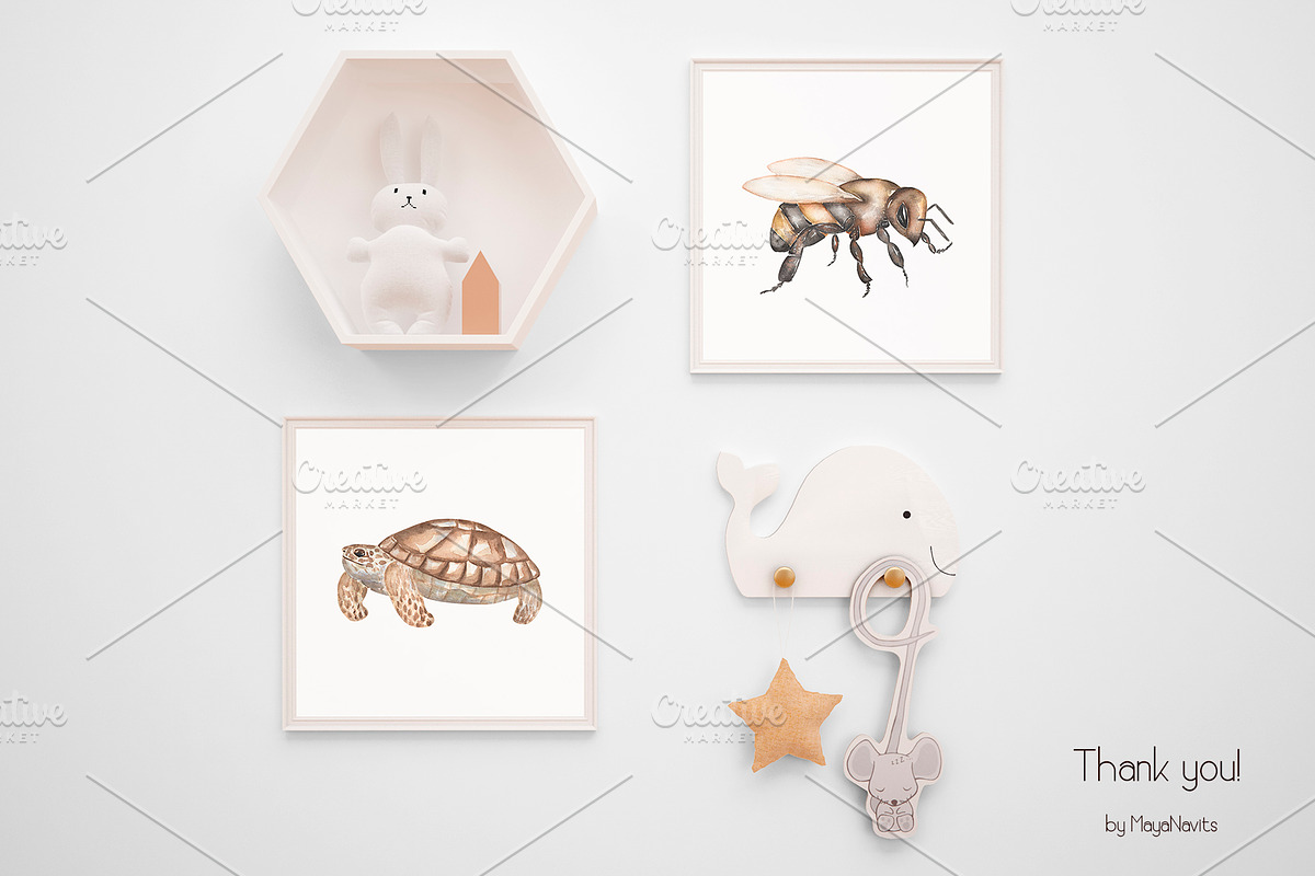 Watercolor Life Cycle Set, an Education Illustration by MayaNavits (Photo 11 of 11)