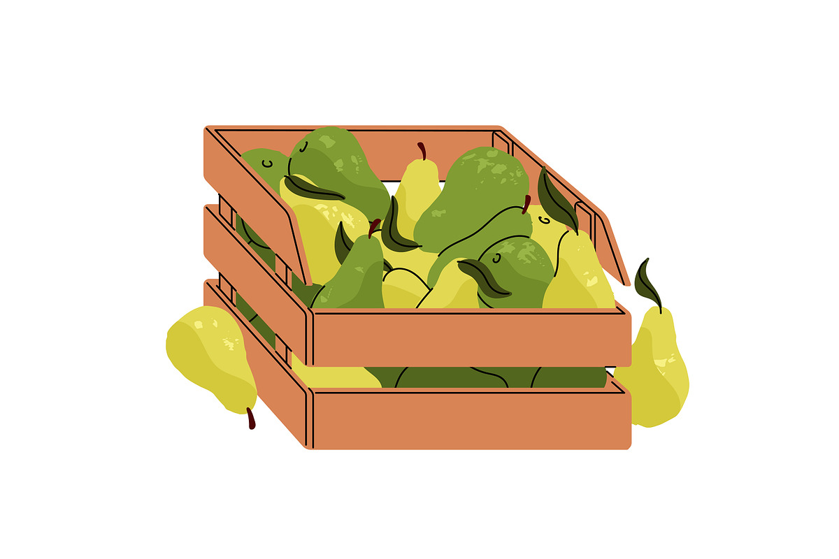 Fruit & vegetables boxes set, banner, a Food Illustration by PaperTrident (Photo 4 of 13)