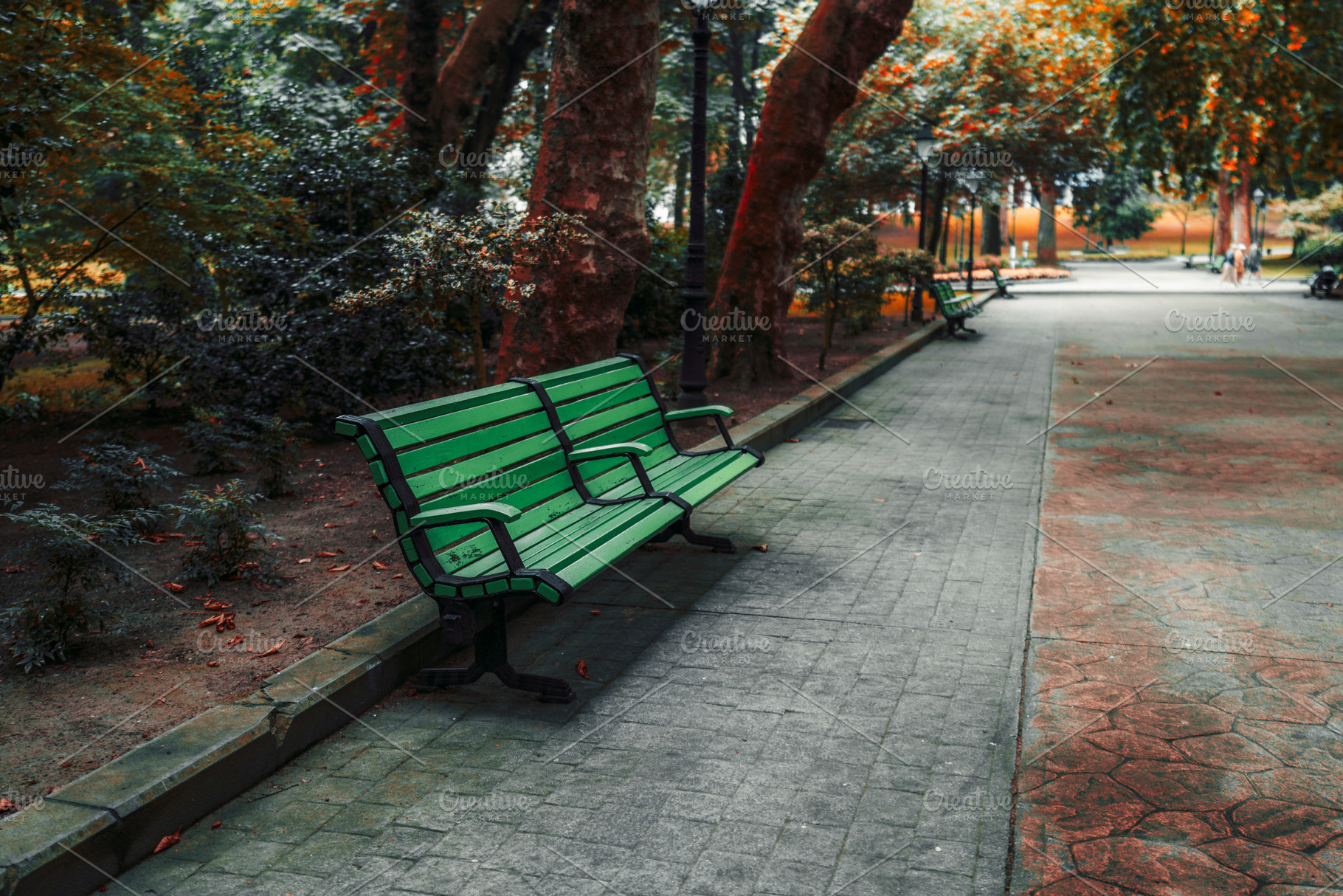 Empty green bench in park, an Architecture Photo by SkyNext