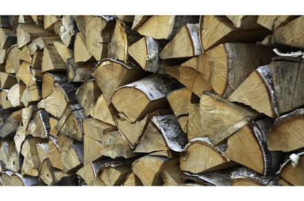 Close-up of firewood supply. Media, a Nature Photo by Media Whale Stock