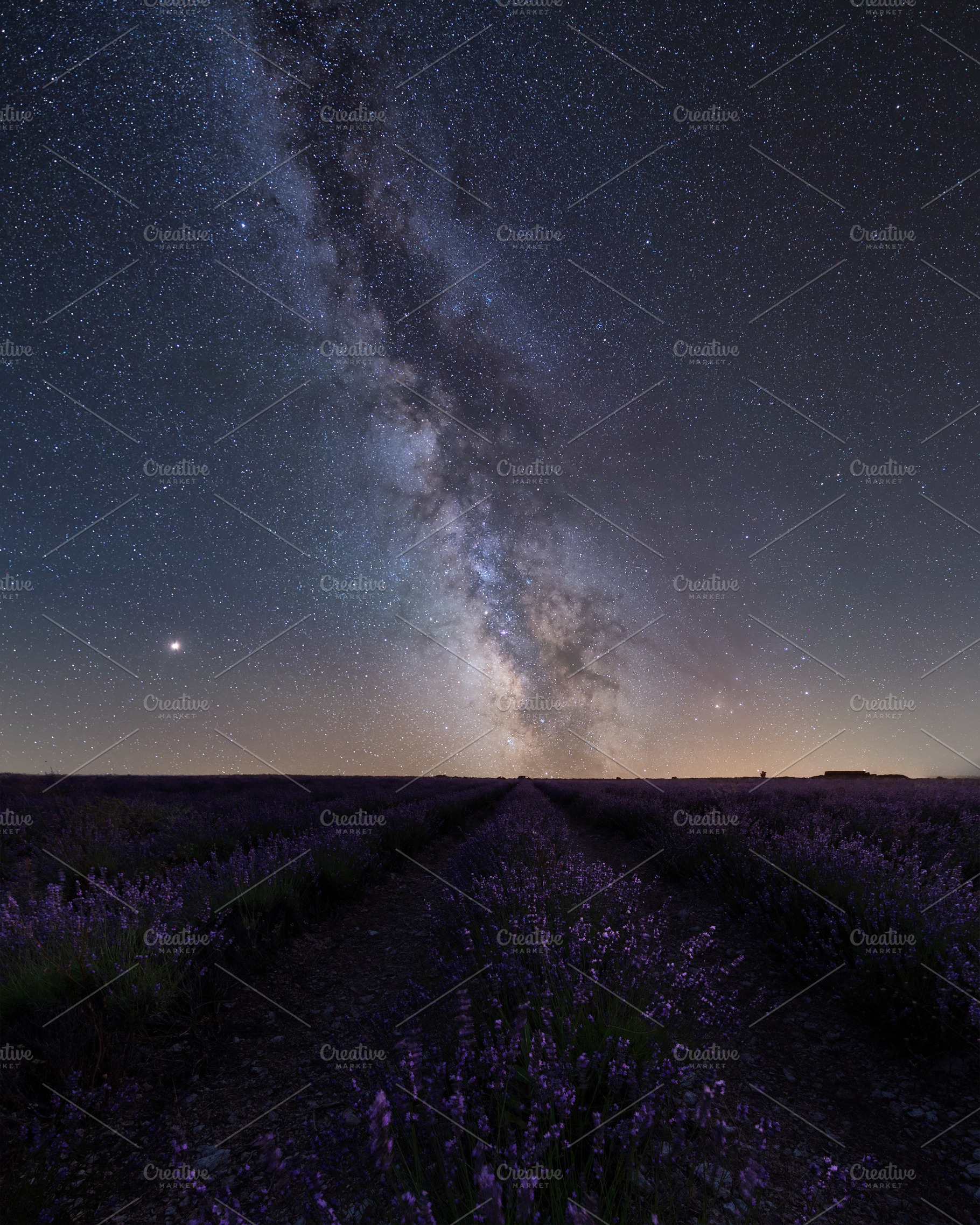 Milky Way over lavanda field, a Nature Photo by PhotoNature