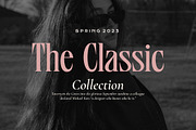Blinds Audience - Aesthetic Font, a Serif Font by Fype Co. (Thumbnail 4 of 5)