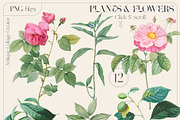 ANTIQUE Collage Creator Art Elements, an Object Graphic by Oksana Trygub (Thumbnail 7 of 29)