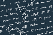 Beastien Signattura, a Handwritten Font by Basnistudio (Thumbnail 4 of 8)
