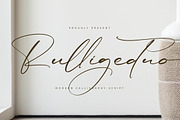 Rulligedro Modern Calligraphy Script, a Script Font by Letterena Studios Script (Thumbnail 1 of 15)