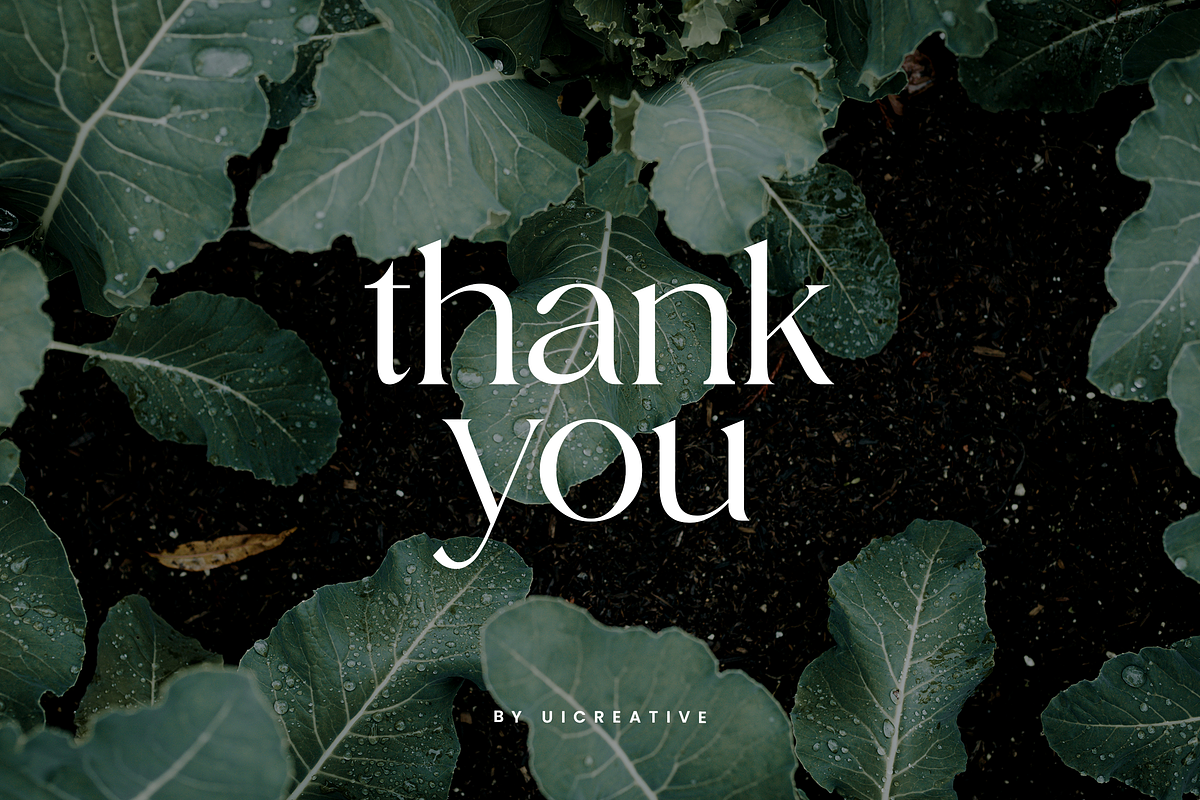 Vigosamine Luxury Serif Font, a Serif Font by UICreative (Photo 12 of 12)