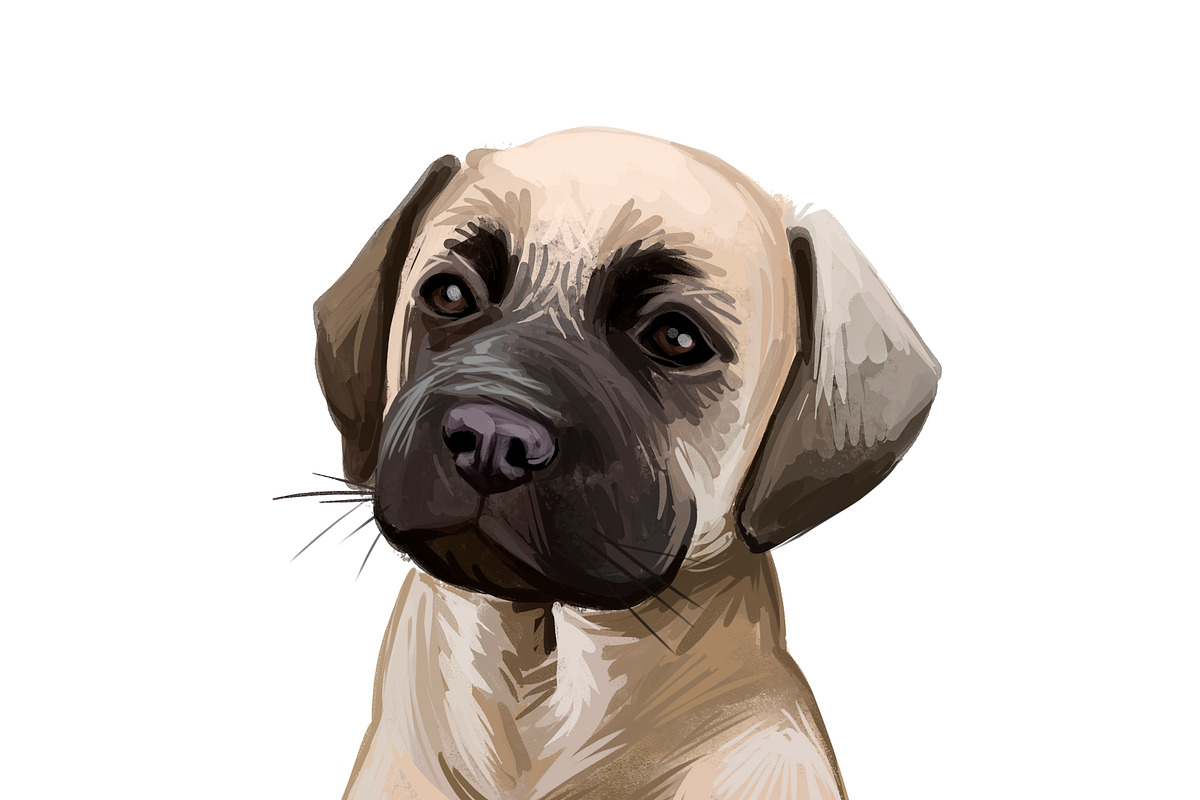 Puppies Dog Breeds Vol. 1; 1 to 30, an Animal Illustration by Dneprstock (Photo 8 of 8)