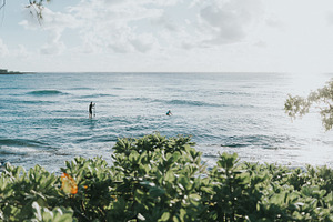 Paddle Boarding in Hawaii