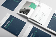 Business Brochure Template, a Brochure Template by DesignCrest (Thumbnail 5 of 13)