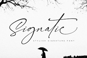 Signatie Stylish Signature Font