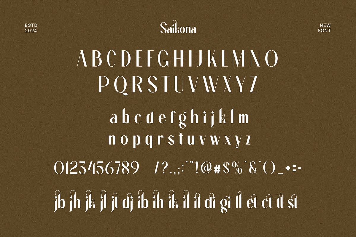 Saikona Elegant Sans Serif Font, a Sans Serif Font by Perfectype (Photo 6 of 6)