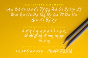 Martha script, a Script Font by Deveze Art & Co (Thumbnail 6 of 6)