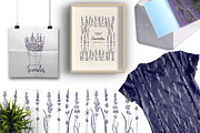 Lavender in Provence, an Illustration by TashaDraw (Thumbnail 3 of 8)