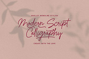 Haslley Beautiful Monoline, a Script Font by Wortfice (Thumbnail 16 of 17)