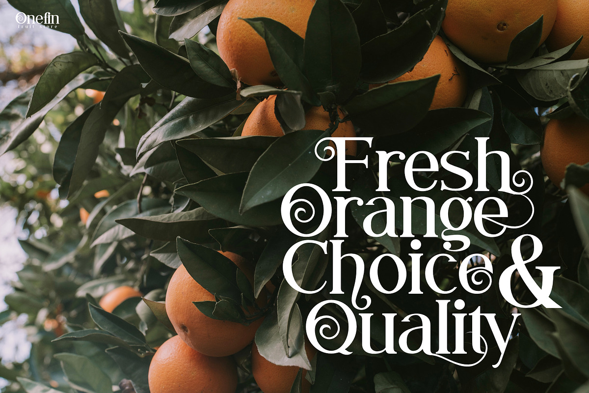 Syailendra - Modern Serif With Tail preview 3