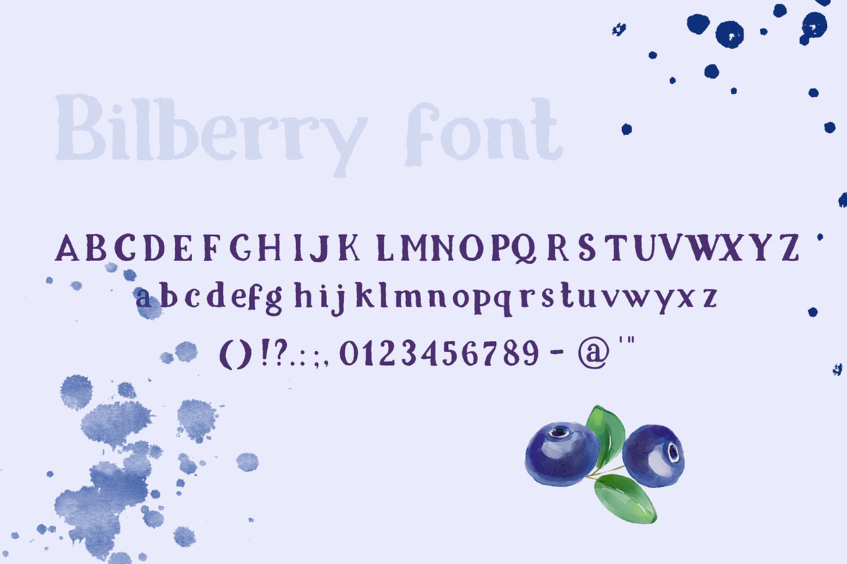 Bilberry rough serif font, a Serif Font by Art pages (Photo 3 of 10)
