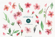 Spring blooming watercolor set, a Decorative Illustration by ArtPavo (Thumbnail 6 of 8)