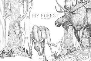 My Forest