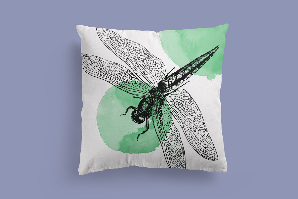 Insects - Vintage Illustrations, an Illustration by Graphic Goods (Photo 6 of 10)
