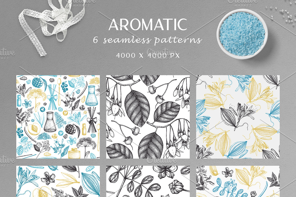Aromatic Plants & Flowers Sketches, a Healthcare Illustration by Yevheniia (Photo 8 of 9)