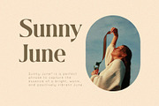 Classma – Modern Classy Serif Font, a Serif Font by BrandSemut (Thumbnail 4 of 9)