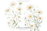 watercolor daisy clipart set, a Decorative Illustration by Patishop Art (Thumbnail 3 of 6)