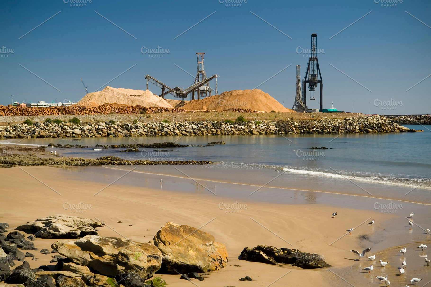 Timber Mill, an Industrial Photo by THP Creative