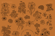 FLORA BOTANICA Vector Illustrations, an Object Graphic by angelainthefields (Thumbnail 7 of 13)