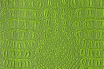 Green crocodile leather texture. Abstract backdrop for design., an Abstract Photo by Eugene_Photo