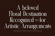 Rumiga Elegant Serif Font, a Serif Font by Perfectype (Thumbnail 6 of 8)