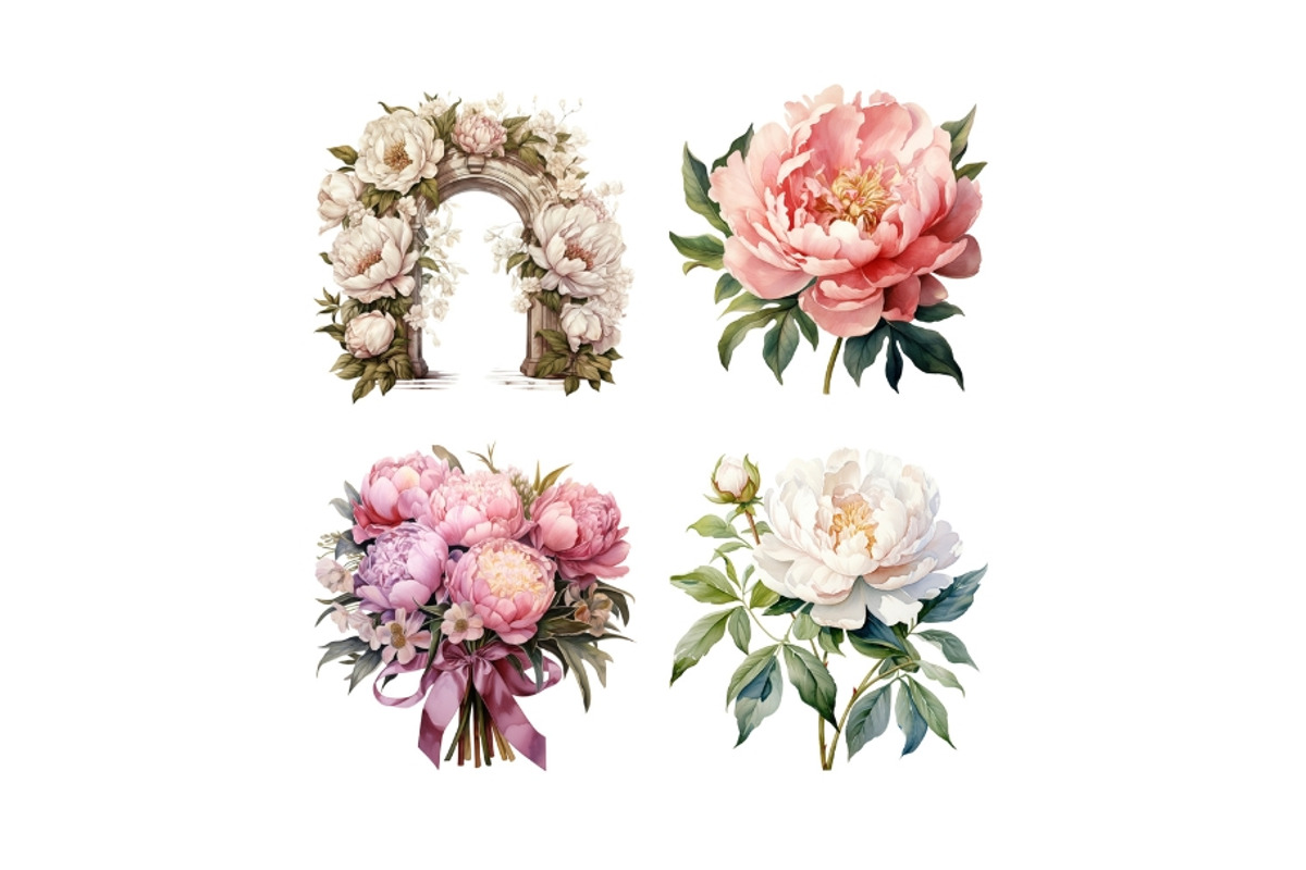 Watercolor Peony Clip Art, a Decorative Illustration by HoneyBunnyDigital (Photo 14 of 14)