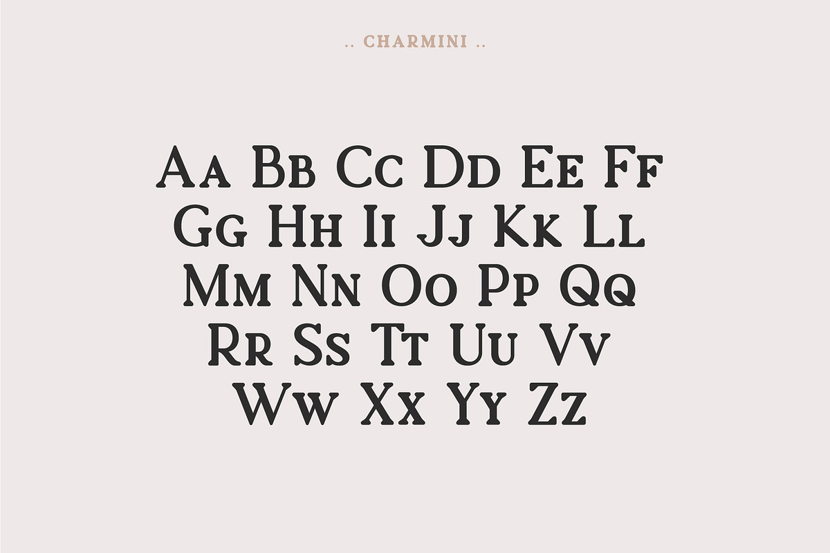 Charmini. Serif font family., a Serif Font by Luxfont (Photo 10 of 12)
