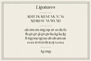 Vangba Typeface, a Serif Font by alit design (Thumbnail 4 of 16)