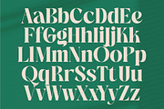 The Bencoy Modern Serif Display, a Serif Font by timelesstype.co (Thumbnail 7 of 20)