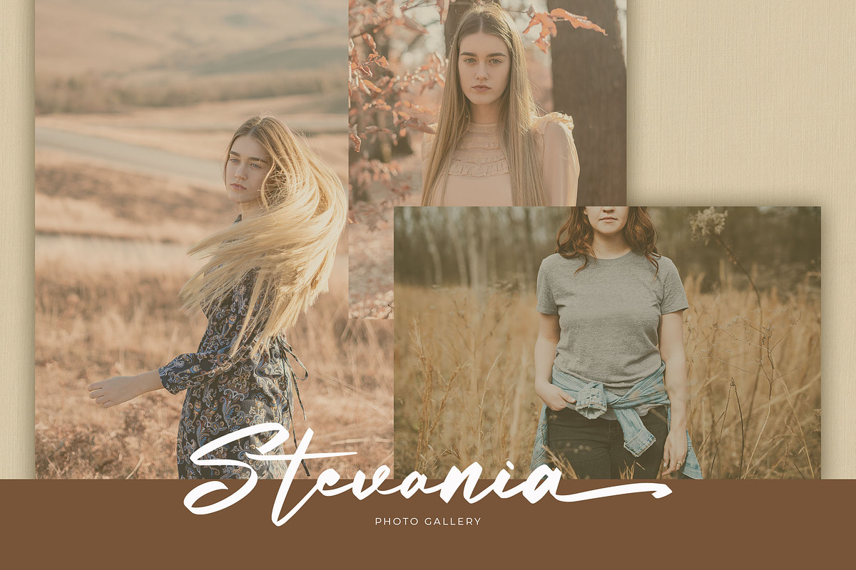Bottamkia Brush Script Font, a Script Font by NTC Graphic (Photo 2 of 8)