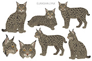 European wild cats clipart, an Animal Illustration by pet design shop (Thumbnail 3 of 10)