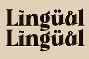 Quishe – Modern Elegant Serif, a Serif Font by MaikoHatta (Thumbnail 5 of 8)