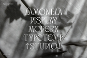 Lamonela - Serif Display Font, a Serif Font by Typetemp Studio (Thumbnail 2 of 21)