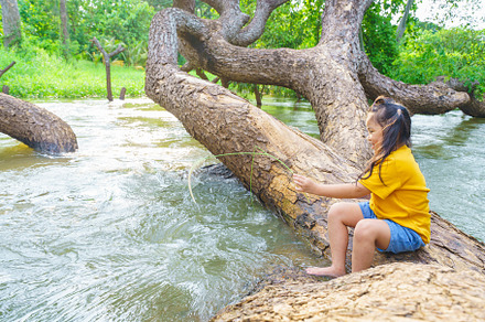 cute girls climbs a tree trunk on top river in the forest, count, a Sports & Recreation Photo by Casanowe-studio