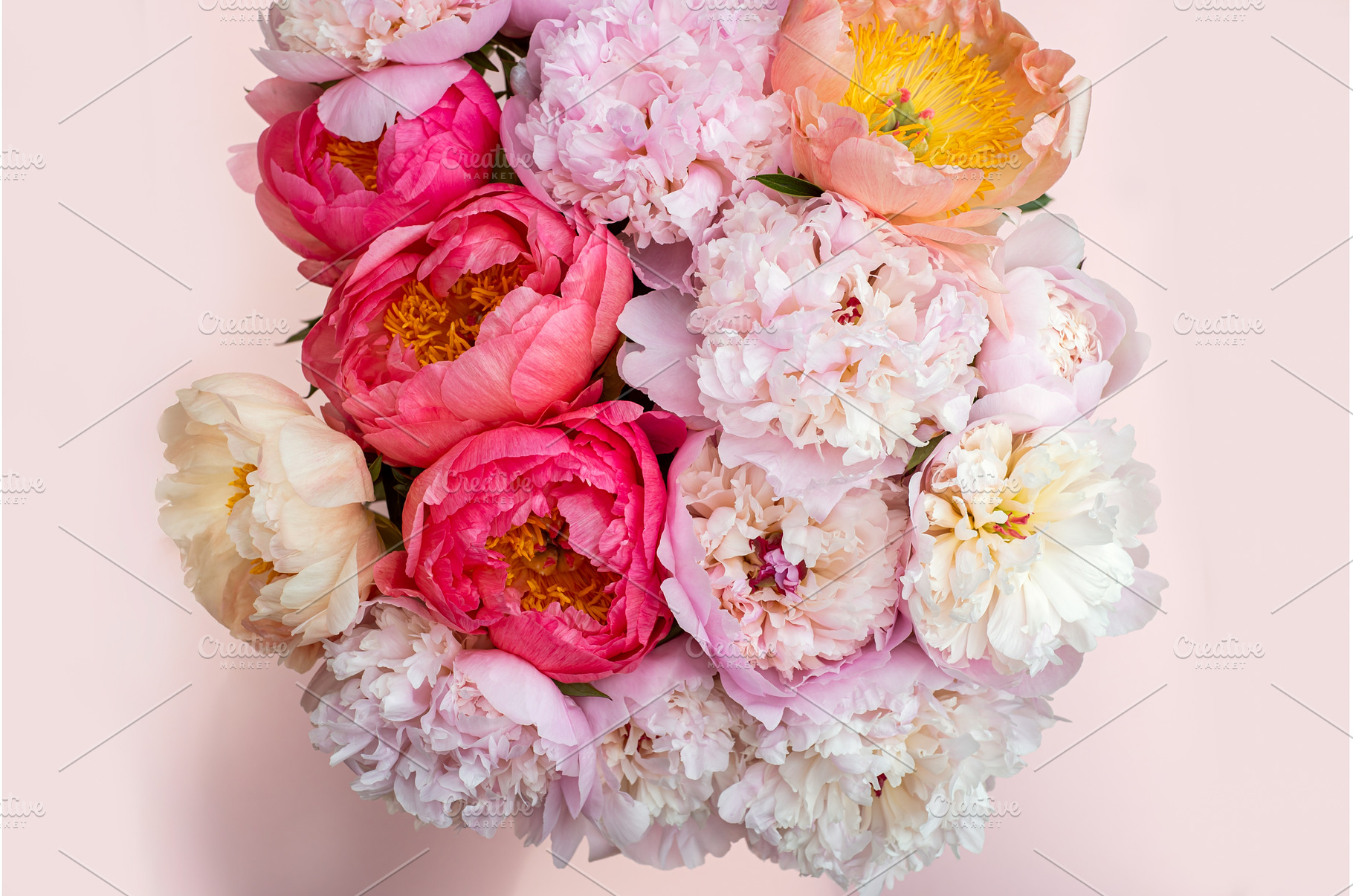 Fresh bunch of pink peonies, a Nature Photo by MAnuta