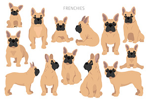 French Bulldog Clipart