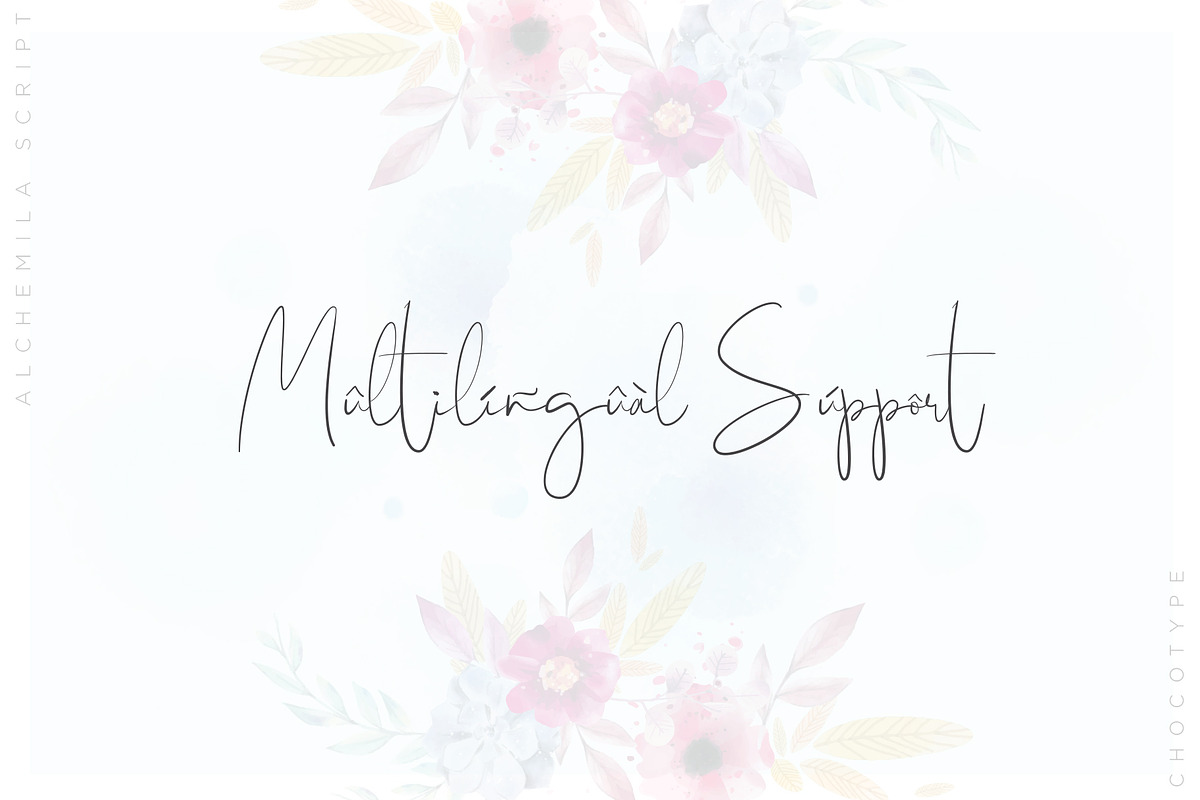 Alchemila Script, a Script Font by Chocotype Std (Photo 15 of 16)