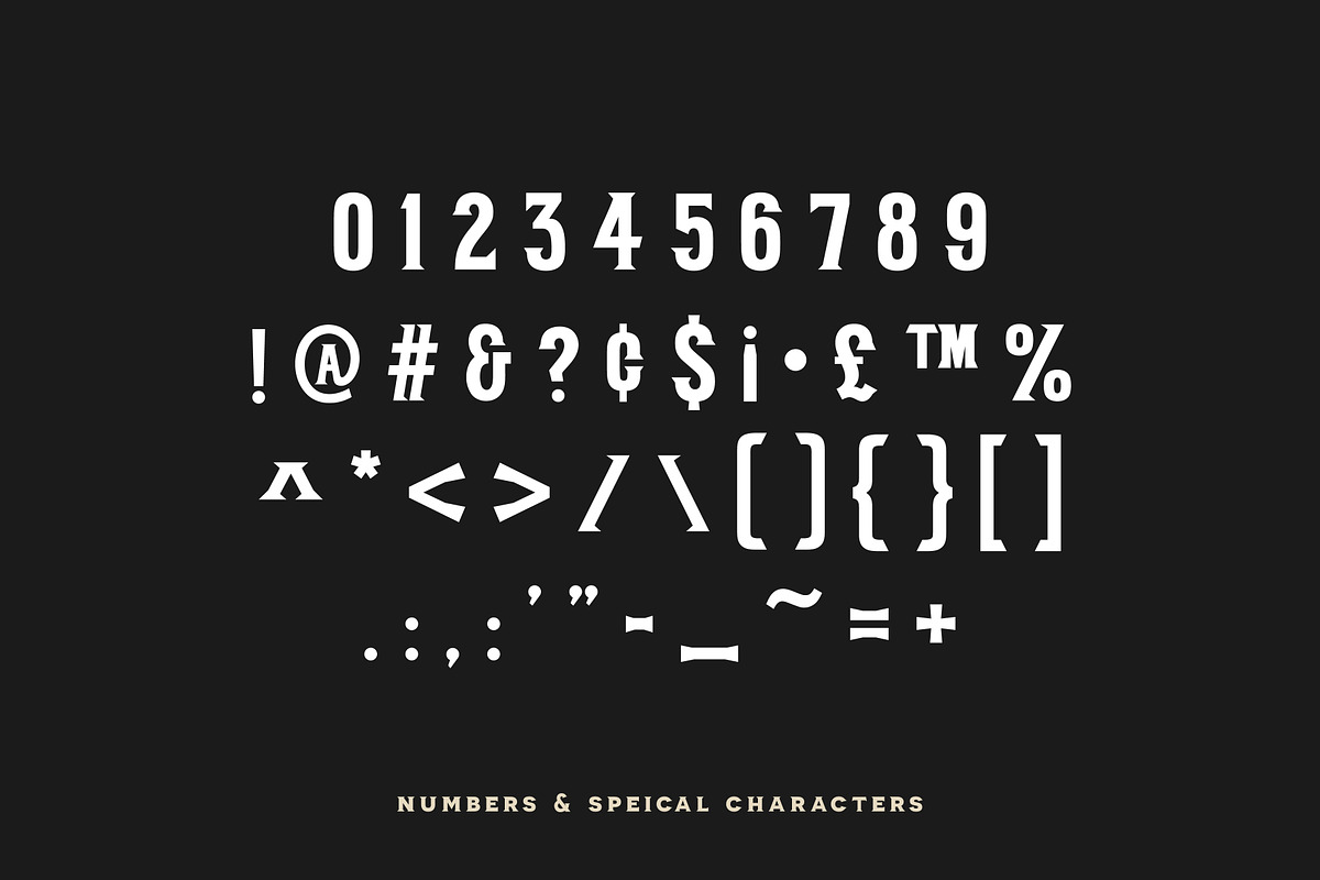 BARBER - Vintage Serif, a Serif Font by Creative Type (Photo 6 of 6)