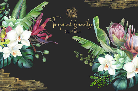 Watercolor tropical borders clip art, an Illustration by WonderWonder