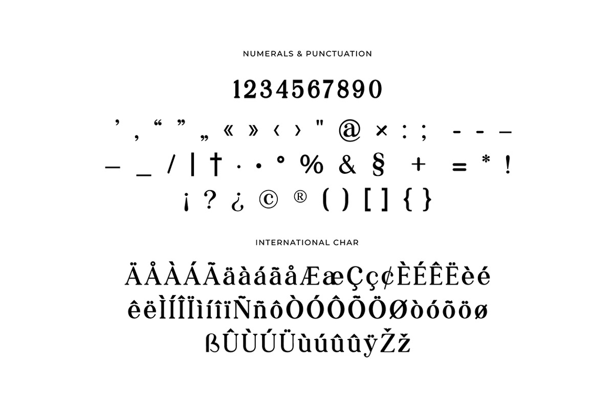 Grillages Modern Serif Font, a Serif Font by UICreative (Photo 5 of 11)
