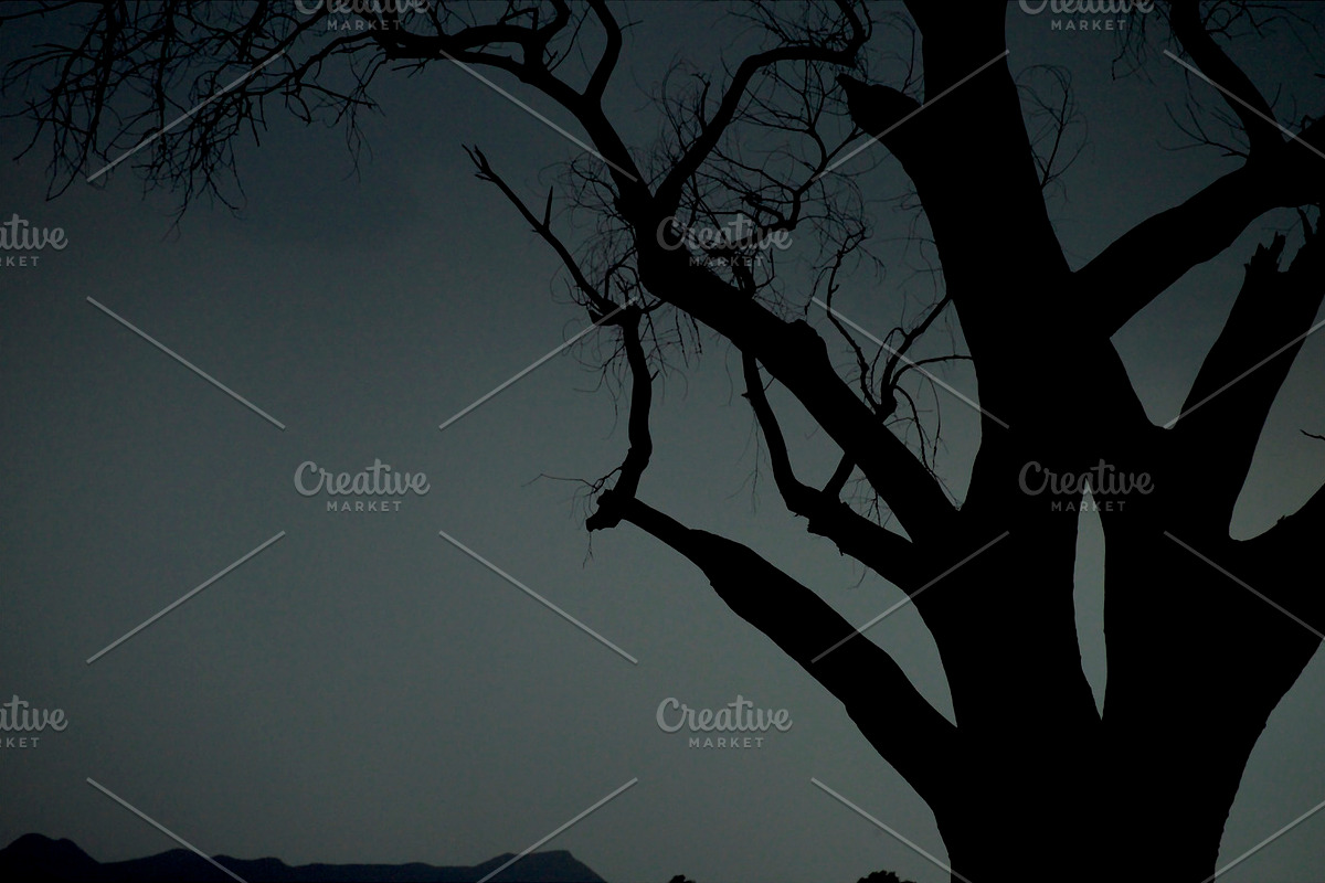 Tree at Dusk, a Nature Photo by Marc Sandin Creative (Photo 2 of 5)
