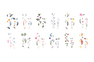 Watercolor leaves and small flowers, an Object Illustration by okskukuruza