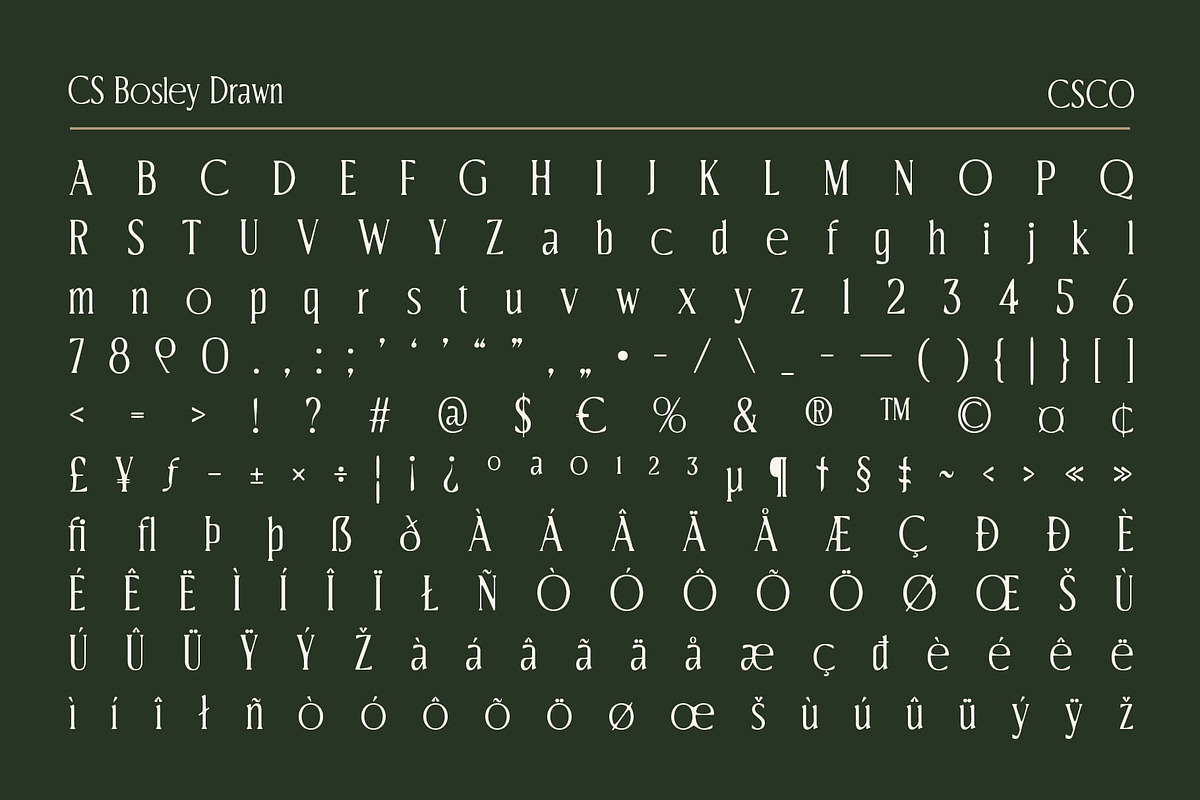 CS Bosley Drawn, a Serif Font by Craft Supply Co. (Photo 8 of 8)